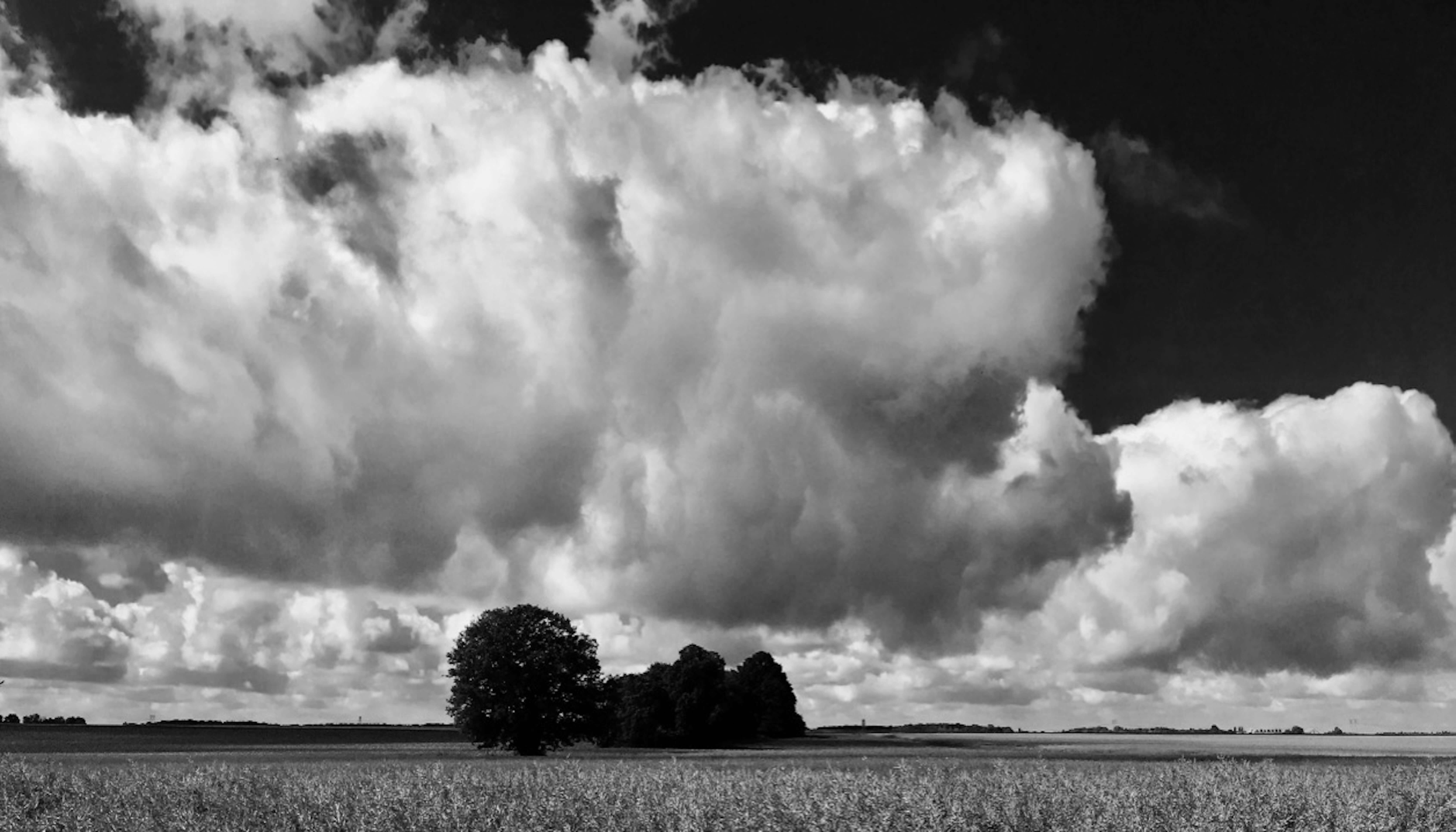 L’immensité des paysages communs