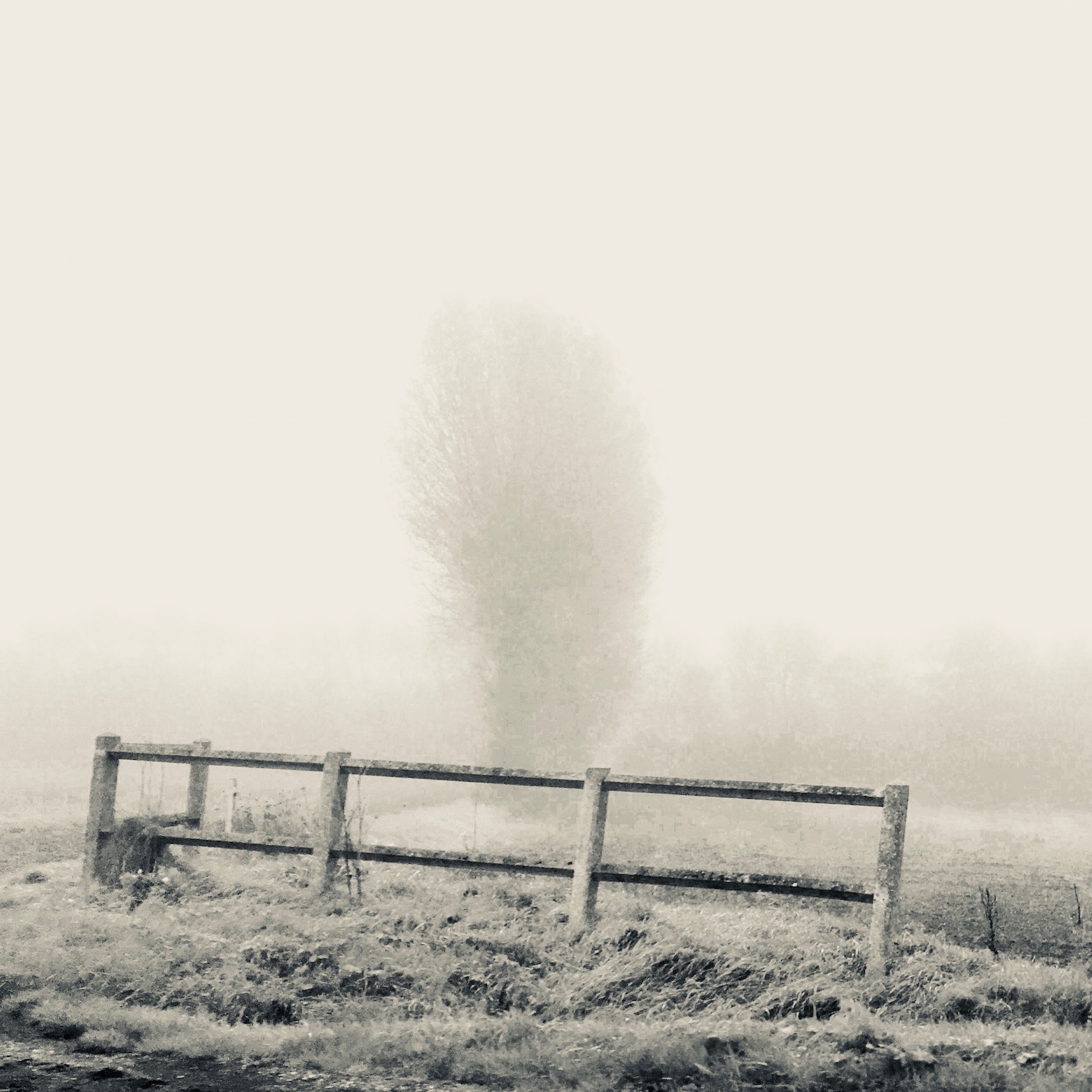 Paysages communs brume